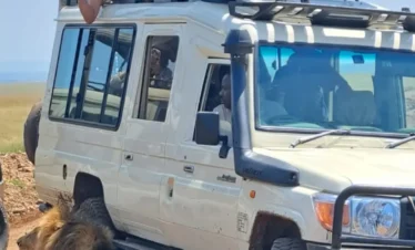 Nairobi National Park Excursion — Day Safari