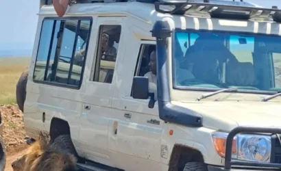 Nairobi National Park Excursion — Day Safari