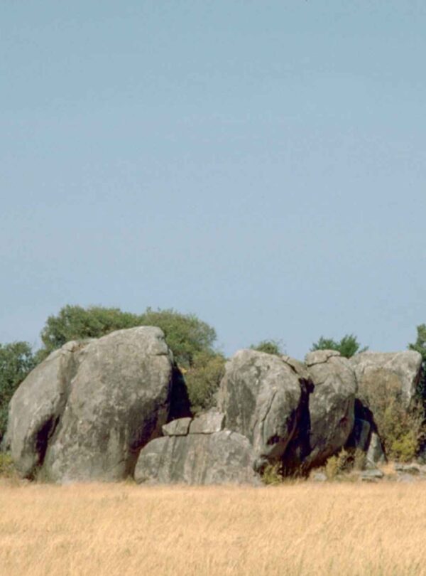 Serengeti National Park