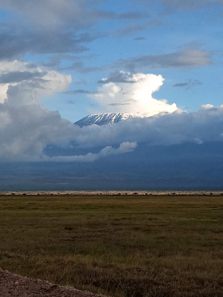 Kilimanjaro