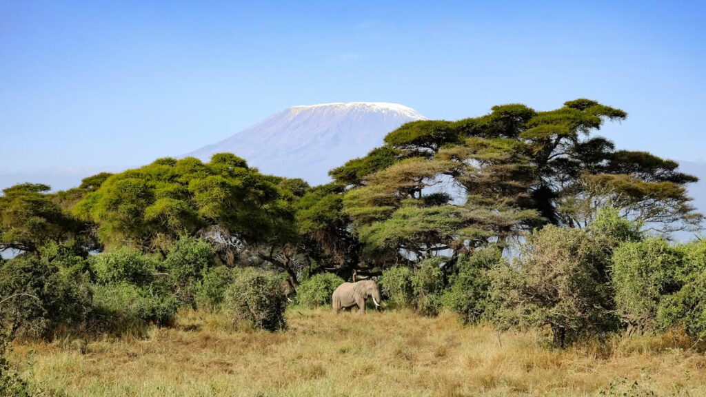 amboseli national park