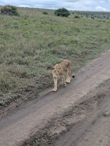 Photo from customer review