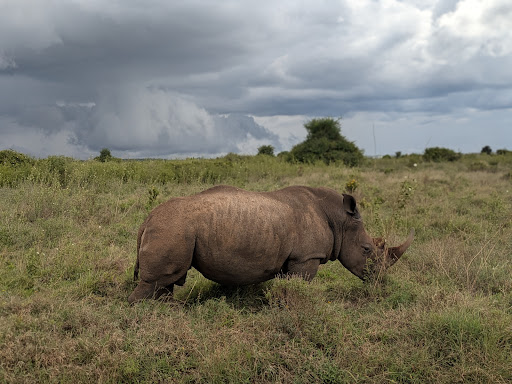 Photo from customer review