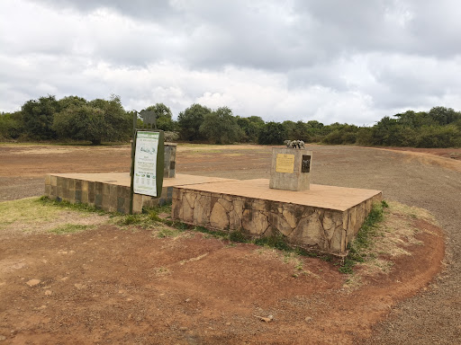 Photo from customer review