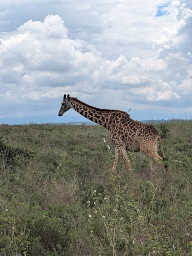 Photo from customer review